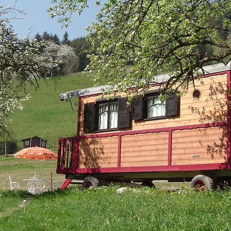 Le Repaire De Mitzerle Villa Mitzach Kültér fotó