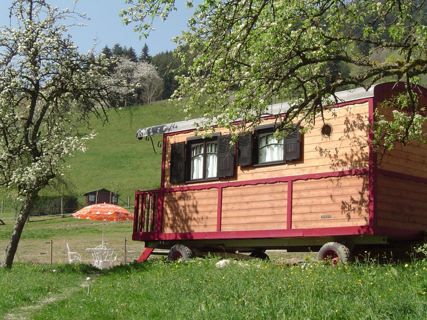 Le Repaire De Mitzerle Villa Mitzach Kültér fotó